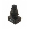 Interruptor Pushbutton 3A