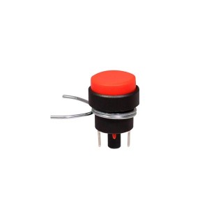 Interruptor Pushbutton 1A